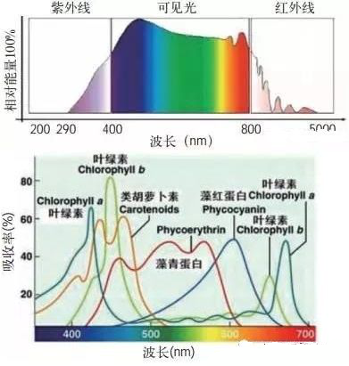 How to choose and design LED grow lights?